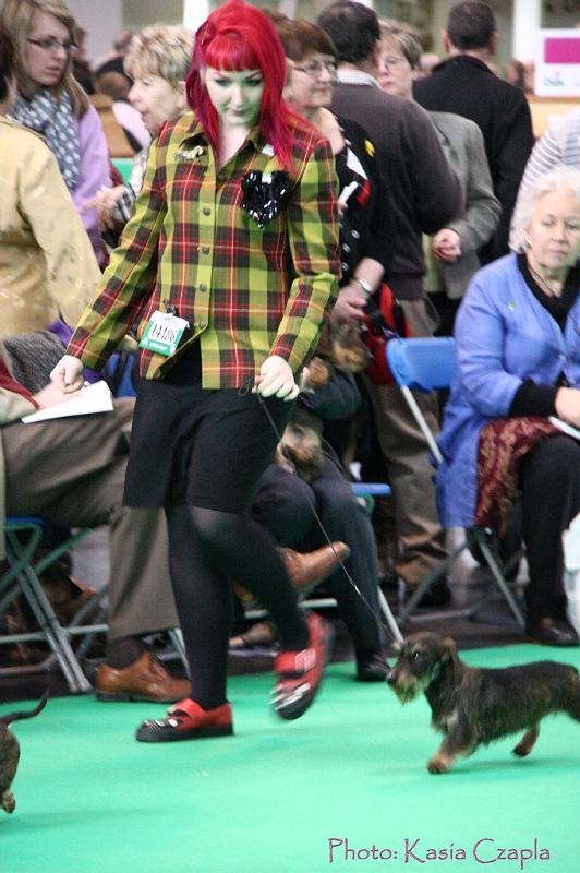 Crufts2011_2 846.jpg